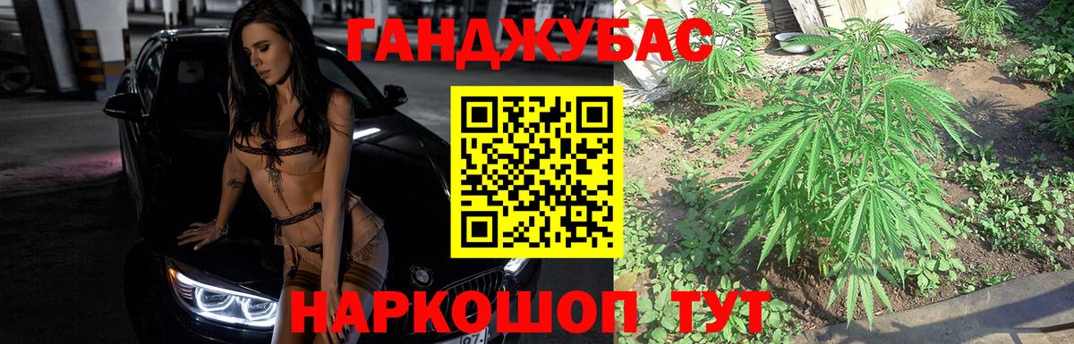 Конопля сатива Кохма